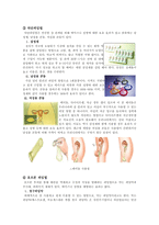 [결혼학개론] 피임-7