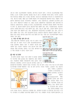 [결혼학개론] 피임-9