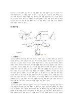 [결혼학개론] 피임-10
