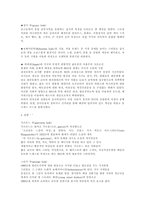 [패션용어] 패션 룩에 대해-1
