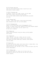 [패션용어] 패션 룩에 대해-13