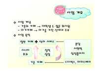 [벤처창업론] [벤처창업론]아기동반 외출의 도우미 아기카페 사업계획서(A+리포트)-3