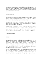 [사회과학]항공사업에 관한 고찰-3