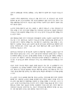 [사회과학]항공사업에 관한 고찰-5