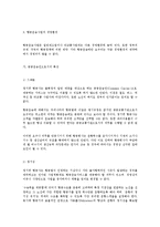 [사회과학]항공사업에 관한 고찰-6
