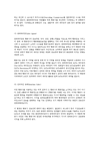 [사회과학]항공사업에 관한 고찰-11