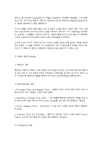 [사회과학]항공사업에 관한 고찰-14