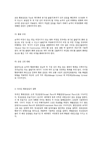 [사회과학]항공사업에 관한 고찰-17