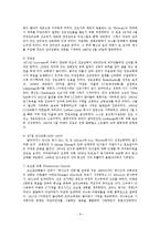 [사회복지학][미얀마의 선교-8