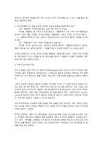 [유아교육학]미국의 유아교육-6