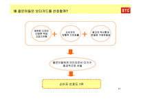[소비자행동론] [소비자행동론]젊은층을 타겟으로 한 언더웨어 `BYC` 통합커뮤니케이션 전략(A+리포트)-11
