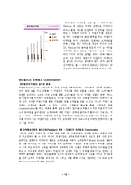 [마케팅조사] [마케팅조사]고객만족마케팅 - 마일리지(Mileage)와 고객화(Customization)(A+리포트)-12