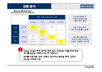 [마케팅관리] [마케팅관리]애니콜 브랜드커뮤니케이션 전략(A+리포트)-10