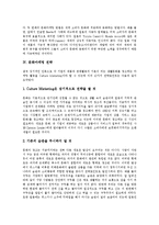 [문화마케팅] 문화마케팅의 중요성과 문화마케팅의 전개 방향 및 문화마케팅 전략 분석-5