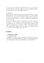 신제품 개발과정(옥수수수염차)-11