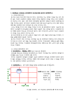 [경영정보 마케팅] [마케팅원론] 하이트맥주 연도별 BCG매트릭스 , GE매트릭스-4