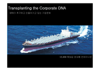 [국제경영전략] STX-14