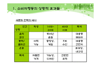 [소비자행동론] 제 10장 구매와 처분-6