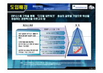 [경영정보] 신도리코 ERP개론-7