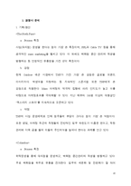 [경영전략] 코오롱 스포츠 경영전략-10