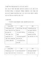 [경영전략] 코오롱 스포츠 경영전략-12