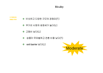 [경영전략] 무가지 시장에서 `메트로`의 성공 전략 제안-19