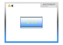 Southwest Airlines(사우스웨스트항공)의 기업문화-8
