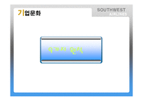 Southwest Airlines(사우스웨스트항공)의 기업문화-15