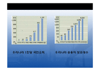 한국경제의 문제점과 과제-10