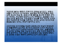한국경제의 문제점과 과제-19