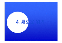 [국제경영] HELIO의 미국 진출 사례 분석-19