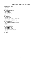 금융시장의 문제점 및 대응방안-1