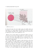열역학의 법칙과 엔트로피-5