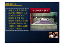 [주거문화] 모더니즘 시대의 주거문화-17