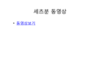 [관광문화] 중국과 일본의 명절-6