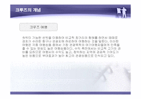 [국제관광] 크루즈관광의 사례와 관광상품 개발-4