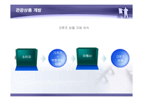 [국제관광] 크루즈관광의 사례와 관광상품 개발-20