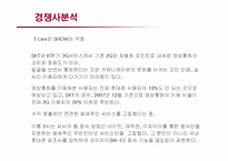 [마케팅] LG Telecom 오즈(OZ)의 마케팅전략-20