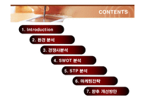 [마케팅] 삼성전자 애니콜(ANYCALL)의 마케팅전략-2
