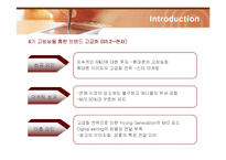 [마케팅] 삼성전자 애니콜(ANYCALL)의 마케팅전략-16