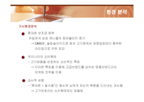 [마케팅] 삼성전자 애니콜(ANYCALL)의 마케팅전략-19