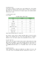 [마케팅] 대한항공의 마케팅전략(SWOT, STP, 4P)-10