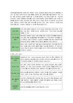 [마케팅] 대한항공의 마케팅전략(SWOT, STP, 4P)-16