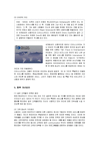 [마케팅] 현대카드의 디자인 마케팅전략 성공사례-11
