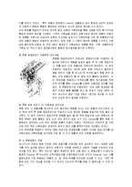 [경영전략] 유니더스의 해외시장 진출과정 및 전략분석-5
