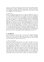 [경영전략] 유니더스의 해외시장 진출과정 및 전략분석-6