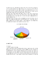 [경영전략] 유니더스의 해외시장 진출과정 및 전략분석-9