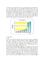 [경영전략] 유니더스의 해외시장 진출과정 및 전략분석-15