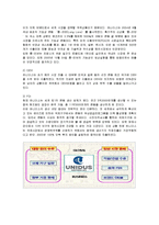 [경영전략] 유니더스의 해외시장 진출과정 및 전략분석-16