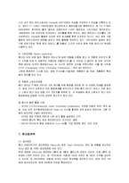 [경영전략] 혁신기업 혼다의 미국시장진출 마케팅과 현지화전략-18